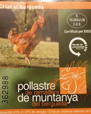 pollastre muntanya