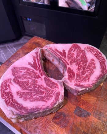 Black angus iberica mb+5
