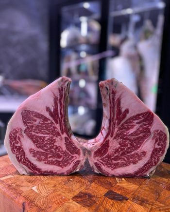 Black angus iberica mb+5